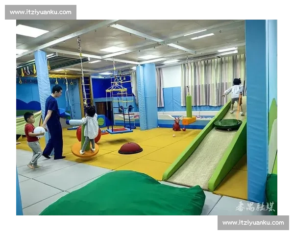 基于康复训练的多元化发展路径探索与实践应用分析 基于康复训练的多元化发展路径探索与实践应用分析